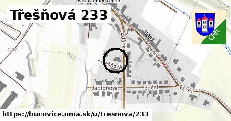 Třešňová 233, Bučovice