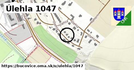 Úlehla 1047, Bučovice