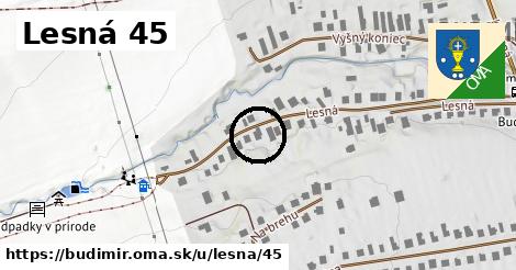 Lesná 45, Budimír