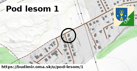 Pod lesom 1, Budimír