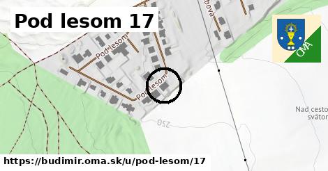 Pod lesom 17, Budimír