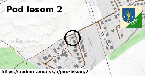 Pod lesom 2, Budimír