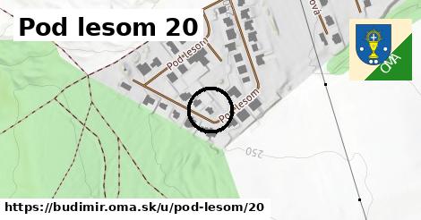 Pod lesom 20, Budimír