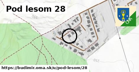 Pod lesom 28, Budimír