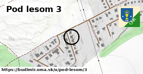 Pod lesom 3, Budimír