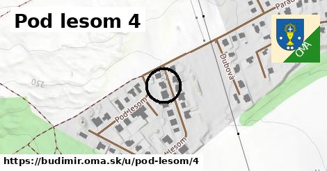 Pod lesom 4, Budimír