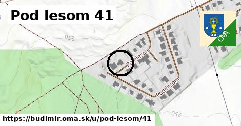 Pod lesom 41, Budimír