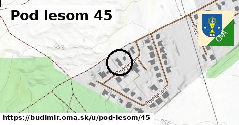 Pod lesom 45, Budimír