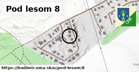 Pod lesom 8, Budimír