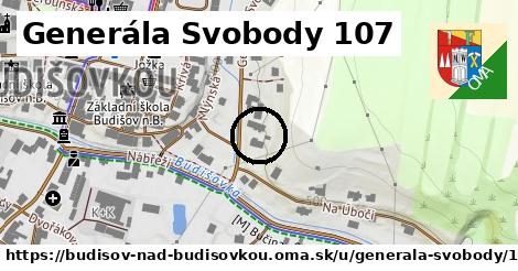 Generála Svobody 107, Budišov nad Budišovkou