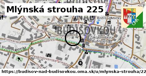 Mlýnská strouha 225, Budišov nad Budišovkou