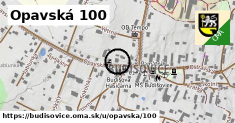 Opavská 100, Budišovice