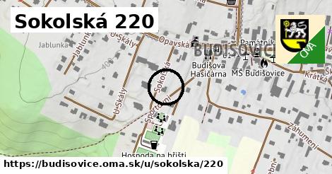 Sokolská 220, Budišovice