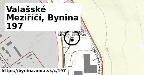 Valašské Meziříčí, Bynina <span class="supisne">197</span>