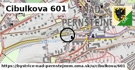 Cibulkova 601, Bystřice nad Pernštejnem