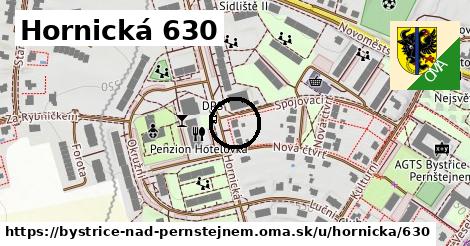 Hornická 630, Bystřice nad Pernštejnem
