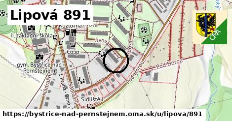 Lipová 891, Bystřice nad Pernštejnem