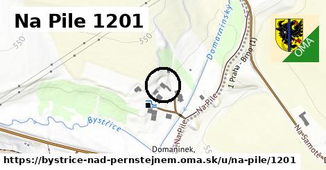 Na Pile 1201, Bystřice nad Pernštejnem