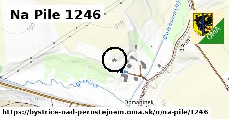 Na Pile 1246, Bystřice nad Pernštejnem