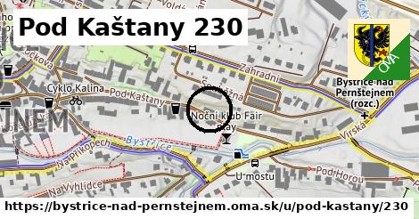 Pod Kaštany 230, Bystřice nad Pernštejnem