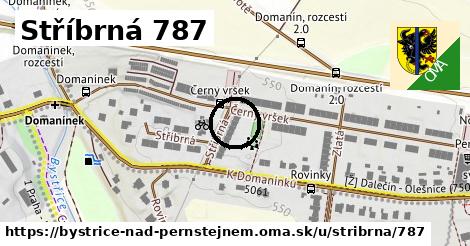 Stříbrná 787, Bystřice nad Pernštejnem