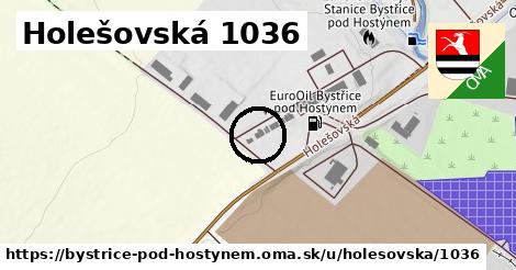 Holešovská 1036, Bystřice pod Hostýnem