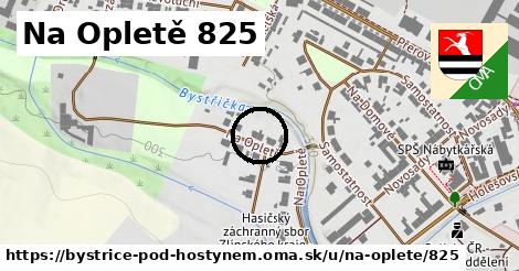 Na Opletě 825, Bystřice pod Hostýnem