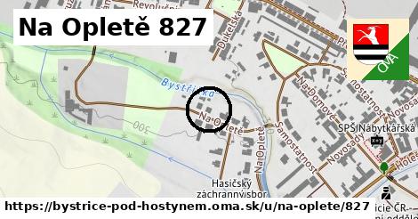 Na Opletě 827, Bystřice pod Hostýnem