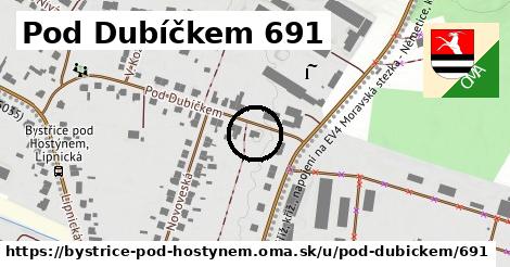 Pod Dubíčkem 691, Bystřice pod Hostýnem