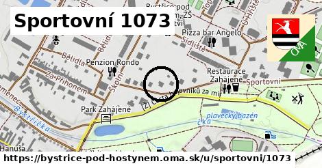 Sportovní 1073, Bystřice pod Hostýnem