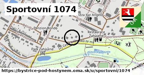 Sportovní 1074, Bystřice pod Hostýnem