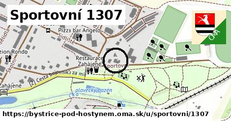 Sportovní 1307, Bystřice pod Hostýnem