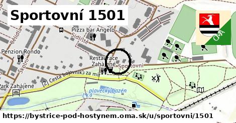 Sportovní 1501, Bystřice pod Hostýnem