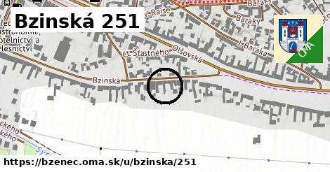 Bzinská 251, Bzenec