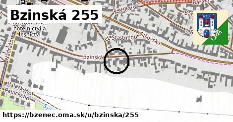 Bzinská 255, Bzenec