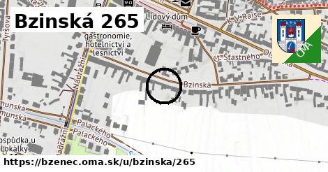 Bzinská 265, Bzenec