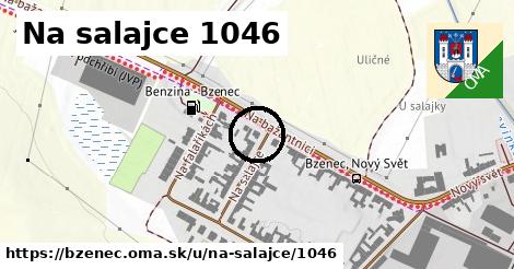 Na salajce 1046, Bzenec