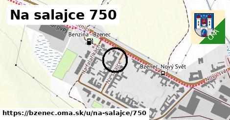 Na salajce 750, Bzenec