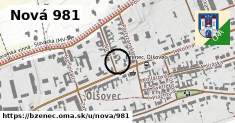 Nová 981, Bzenec