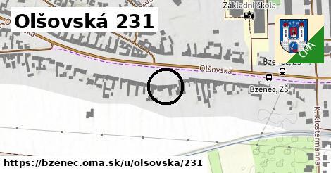 Olšovská 231, Bzenec