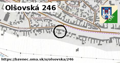 Olšovská 246, Bzenec