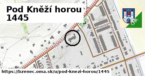 Pod Kněží horou 1445, Bzenec