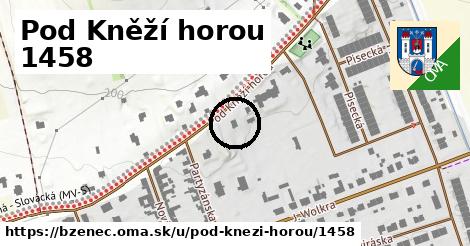 Pod Kněží horou 1458, Bzenec