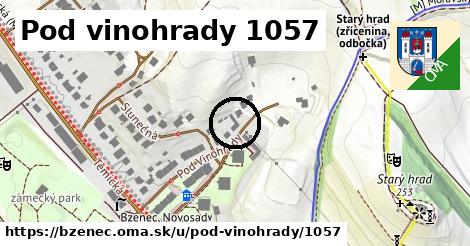 Pod vinohrady 1057, Bzenec