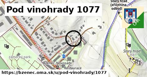 Pod vinohrady 1077, Bzenec