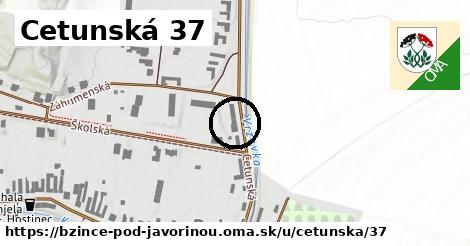 Cetunská 37, Bzince pod Javorinou