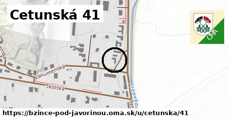 Cetunská 41, Bzince pod Javorinou