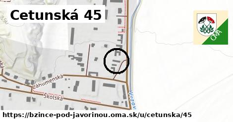 Cetunská 45, Bzince pod Javorinou