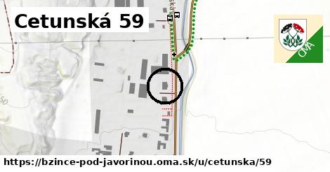 Cetunská 59, Bzince pod Javorinou