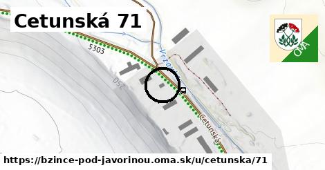 Cetunská 71, Bzince pod Javorinou